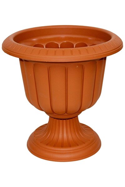 RENK YAPI RÜYASI Saksı 9,8 Lt Nergis Saksı Patos Salon Bitkisi Yetiştirmek Iç...