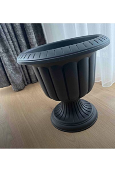 RENK YAPI RÜYASI Saksı 9,8 Lt Nergis Saksı Patos Salon Bitkisi Yetiştirmek Iç...