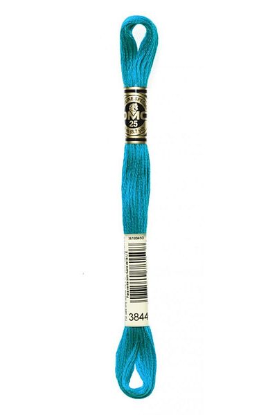 Dmc Muline Thread 2 Pieces Color: 3844
