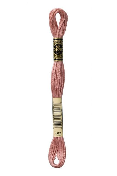 Dmc 2 Pieces Muline Thread Color: 152