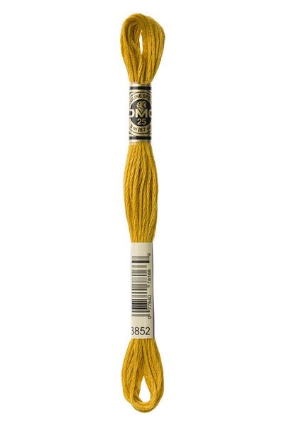 Dmc Muline Thread Color: 3852 2 Pieces