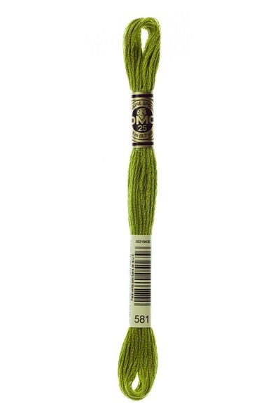Dmc 2 Pieces of Muline Yarn Color: 581