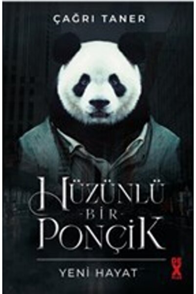 Dex Yayınevi Hüzünlü Bir Ponçik