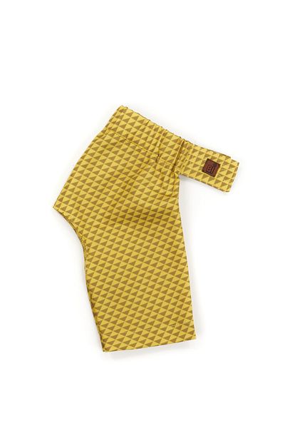 Bi Dolap Ponçik Shorts Swimsuit Yellow Soft Textured Fabric Cat Dog Outfit & Swimsuit