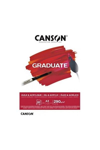 Canson Bloc de Desen Vopsea Ulei și Acrilic 20 Sy A3 290 Gr