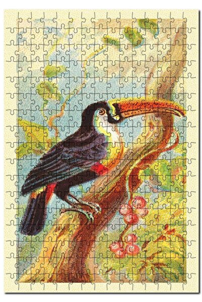 Cakapuzzle أحجية الصور المقطوعة من توكو توكان بيرد 255 قطعة MDF (خشبية)