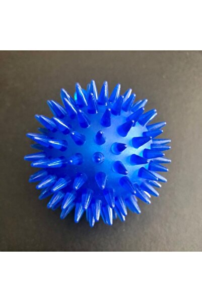 öztürk.avm Özt.kedi-köpek Düdüklü Işıklı Kirpi Top Mavi