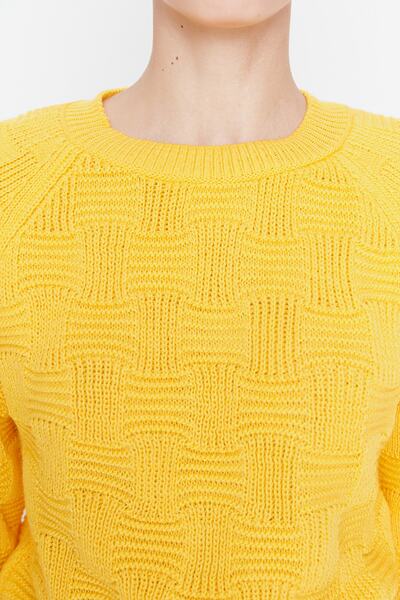 Trendyol Collection Yellow Crop Knit Detailed Crew Neck Knitwear Sweater TWOAW23KZ00819
