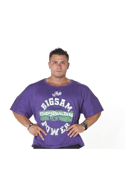 Big Sam Relaxed Fit Purple T-Shirt 2593