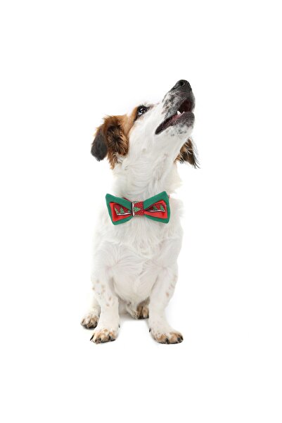 DOGİ&DOG Small Breed Christmas Green Bow Tie (1 Kg -12 Kg)