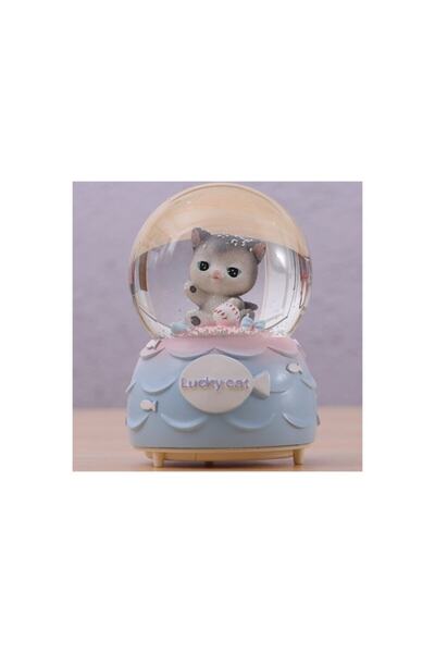 Lapidaria Sevimli Kedi Büyük Boy Püskürtmeli Işıklı Müzikli