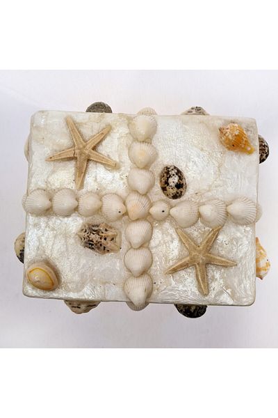 evinizdeki okyanus esintisi turkuaz hediyelik Medium Nacre Box-rectangular-mixed Shell
