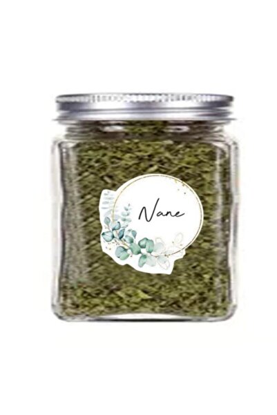 TELLGRAF 24-Piece Transparent Spice Jar Label