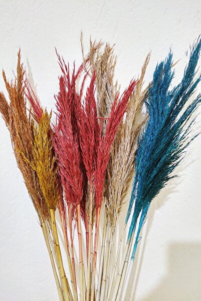 EÇiçek Şoklanmış Pampas Otu 100 Cm 15'li Demet Kuru Çiçek Karışık Renk