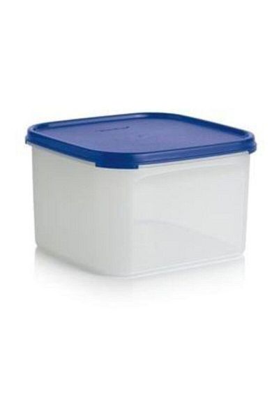 Tupperware مجموعة وحدات بيضاوية مكونة من قطعتين 4 لتر و 2.6 لتر