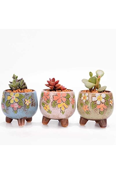 FLORADA 3'lü Retro Sukulent Kaktüs Saksı Seti