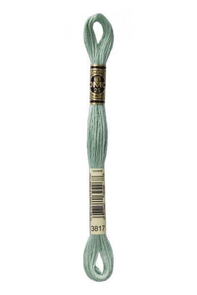 Dmc 2 Pieces Muline Thread Color: 3817