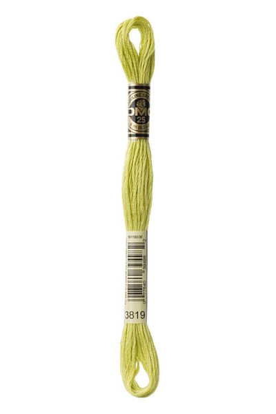 Dmc Muline Thread 2 Pieces Color: 3819