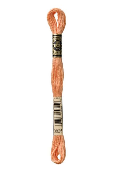 Dmc 2 Pieces Muline Thread Color: 3825
