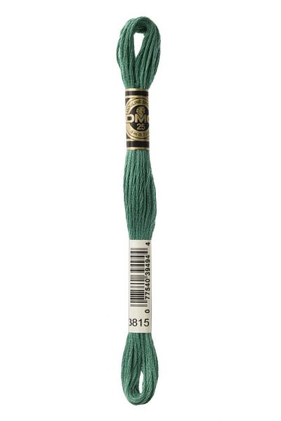Dmc 2 Pieces Muline Thread Color: 3815