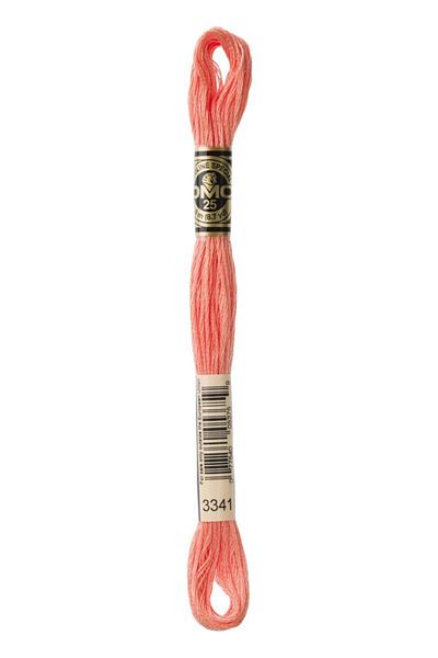 Dmc Muline Yarn 2 Pieces Color: 3341