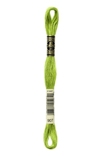 Dmc 2 Pieces Muline Thread Color: 907
