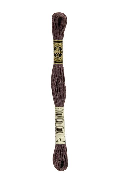 Dmc 2 Pieces Muline Thread Color: 9