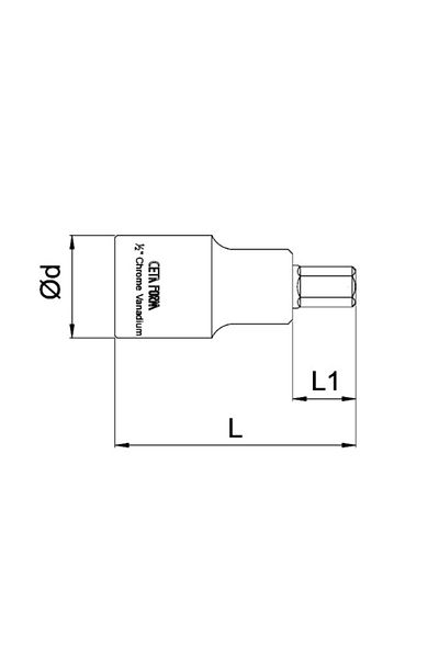 CETA FORM 5mm Screw Form 1/2" Allen End - C28S-H05
