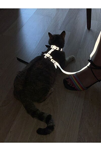 Angels Passion Reflektörlü Kedi Harness, Karanlıkta Parlayan Kedi Vücut Koşum Takımı, Yansıtıcı Kedi Tasması