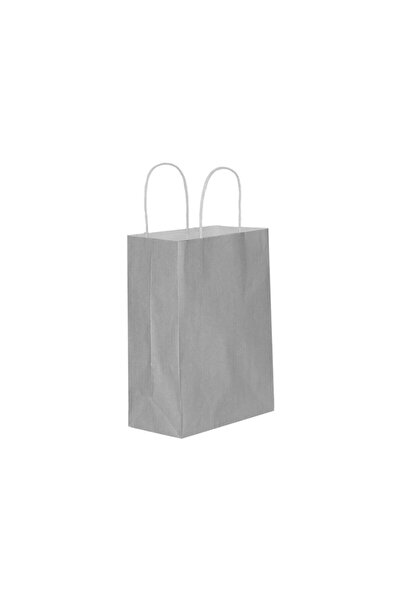 PASTANYA Silver Shiny Cardboard Bag 25 Pieces