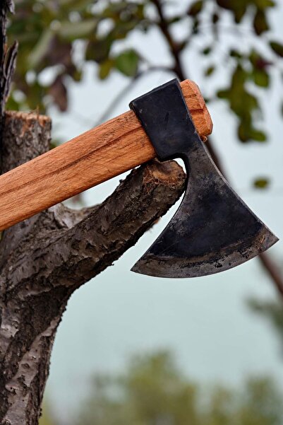 TAPAN BIÇAĞI Tapan Kamp Baltası B14xe10-6s2-750kg Tek Parça Sap Hediye El Yapımı