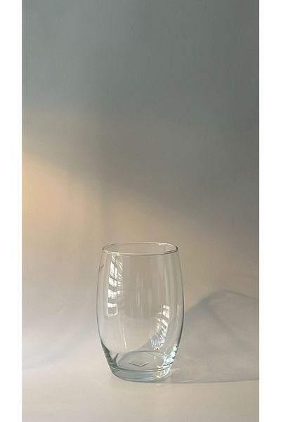 CS Home Design Glass Vase - Transparent Palp Design