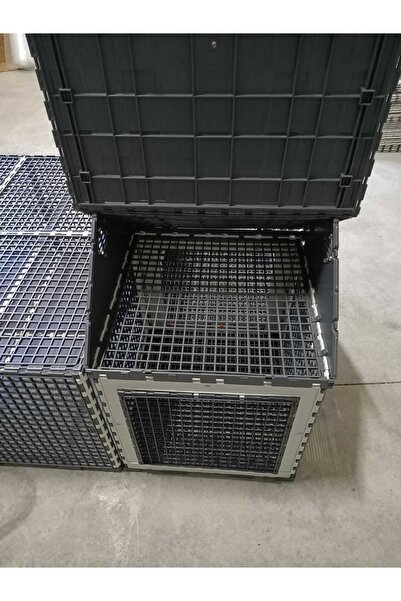 Leganest Kedi Evi Küçük Köpek Evi Tavşan Yuva Kafes 104 Cm X 156 Cm Yp50auk