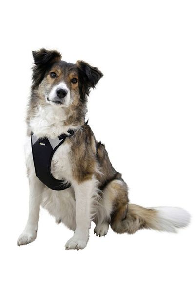 KERBL Chest Collar Dog 72 cm - 96 cm Black