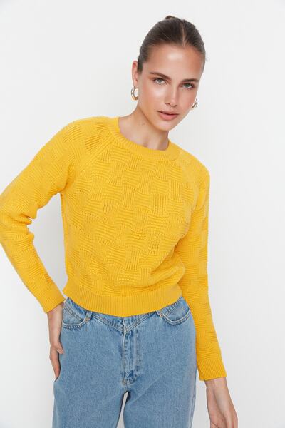 Trendyol Collection Yellow Crop Knit Detailed Crew Neck Knitwear Sweater TWOAW23KZ00819