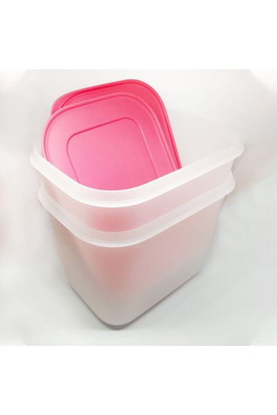 Tupperware Alaska Square Set of 2