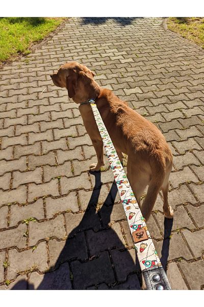 UTDpet Space Dog Extension Leash Dispatch Strap Picco