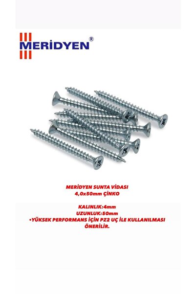 Meridyen Sunta Vidası 4,0x50 Mm Çinko 100 Adet