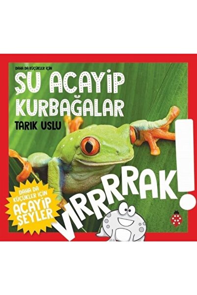 Generic Brand Daha da Küçükler İçin Şu Acayip Kurbağalar - Daha da Küçükler İ...