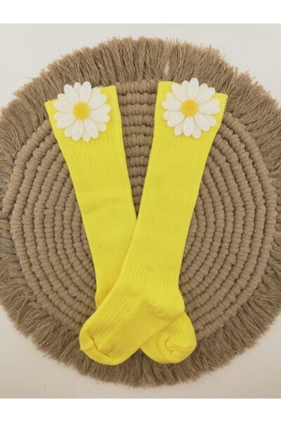 ESES BEBE جوارب للركبة للفتيات الصغيرات مزينة بأشكال ديزي