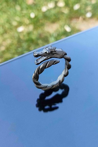 TREND COLLECTİON Matte Black Dragon Model Adjustable Men's Ring