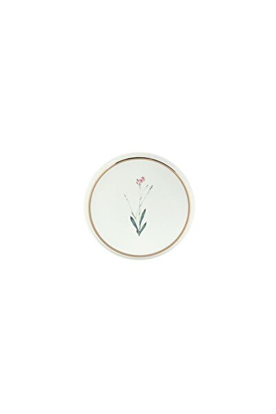 TUUVERSE Porland Botanical 4 Flat Plates 21 Cmcm
