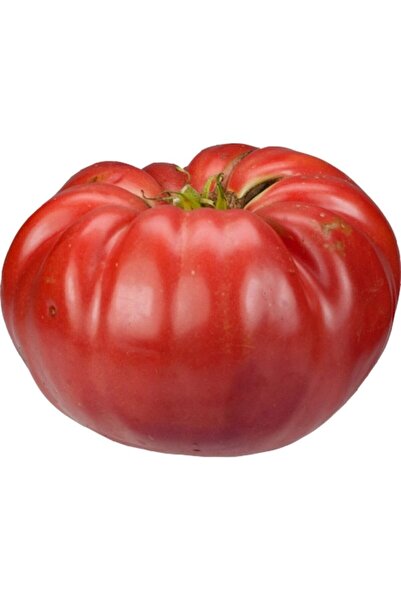 Genel Markalar Iri Erkenci Domates Tohumu 15 Adet Tohum Bol Verim Erken Hasat