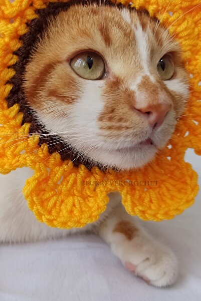 Ayçiçeği Bandana Tasma Yazlık Örgü Kedi Köpek Şapkası Evcil Hayvan Şapkası Pet Aksesuarları