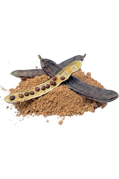 Karşı Köyden 100 G Ceratonia Siliqua - Carob Powder and Flour Carob Powder