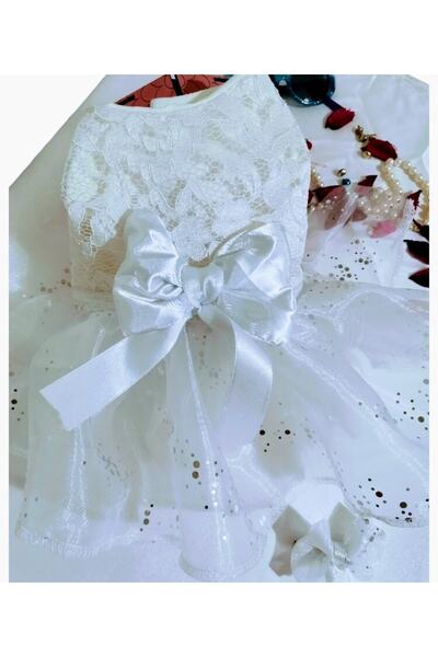 atelyu ملابس القط الكلب فساتين وصيفة الشرف فستان أبيض مع الدانتيل