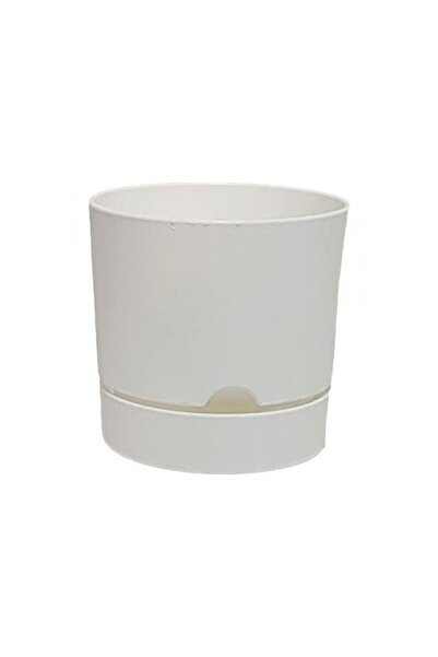 seazde Poliwork Begonya 12 Yuvarlak Saksı 0,95 Litre Beyaz