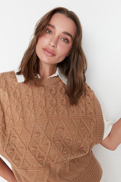 Trendyol Collection Трикотажен пуловер с кръгло деколте с камилски мотиви TWOAW21BZ0447