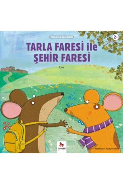 Almidilli Yayınları Tarla Faresi Ile Şehir Faresi