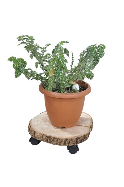 Tamiret Ağaç Saksı Altlığı Çap 29 Cm